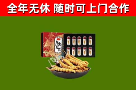 彭阳烟酒回收冬虫夏草礼盒.jpg