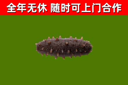 彭阳烟酒回收干海参.jpg